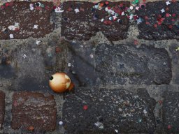 Allschwiler Fasnacht 26 - Andreas Lutz